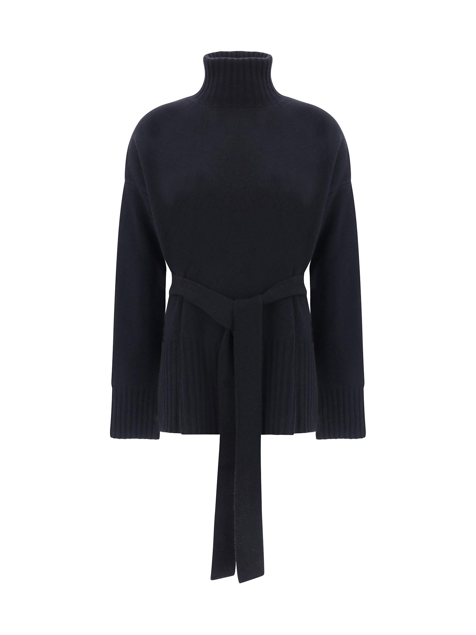 Wild Cashmere Turtleneck Sweater