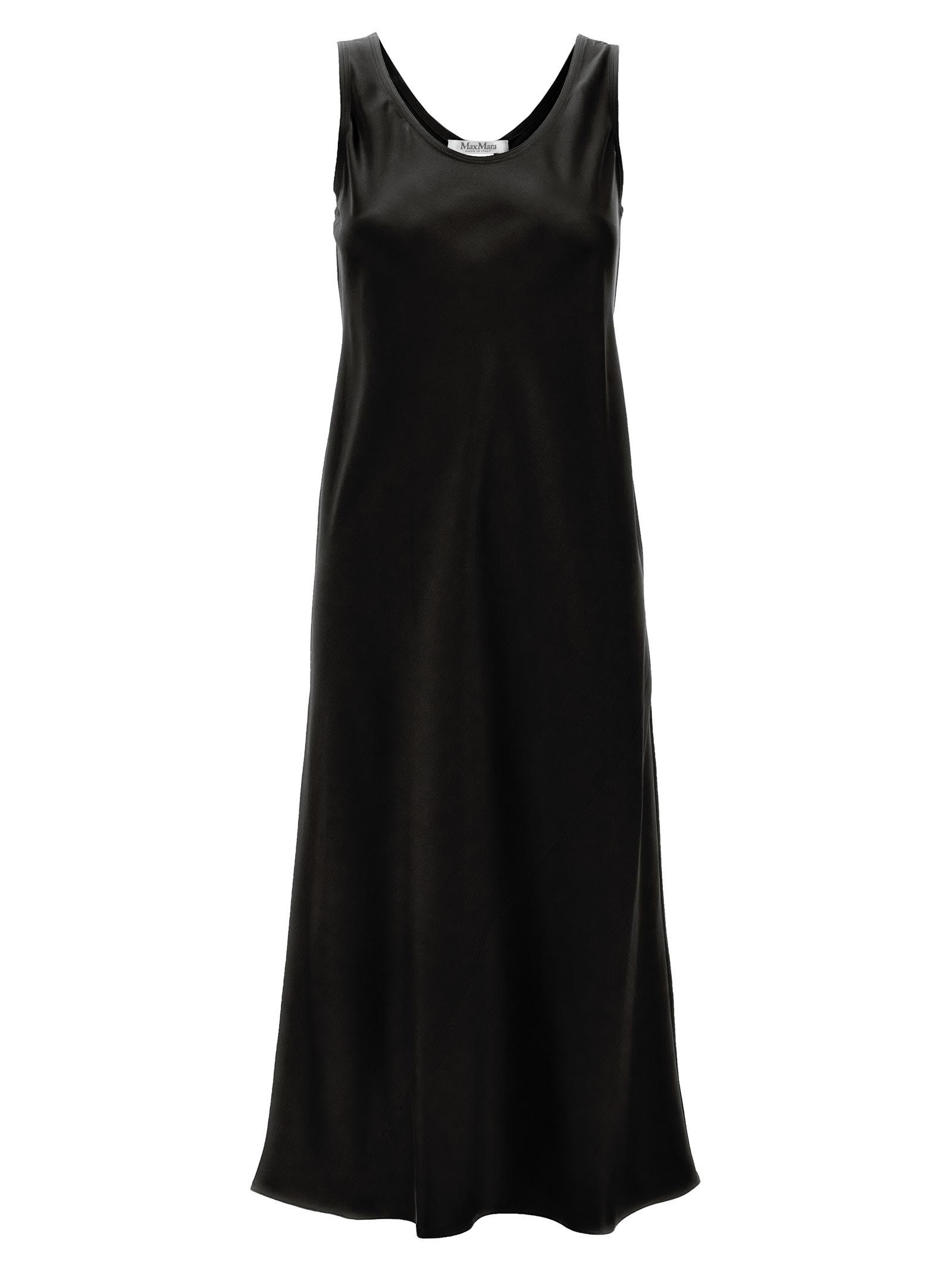 Max Mara Banio Dress