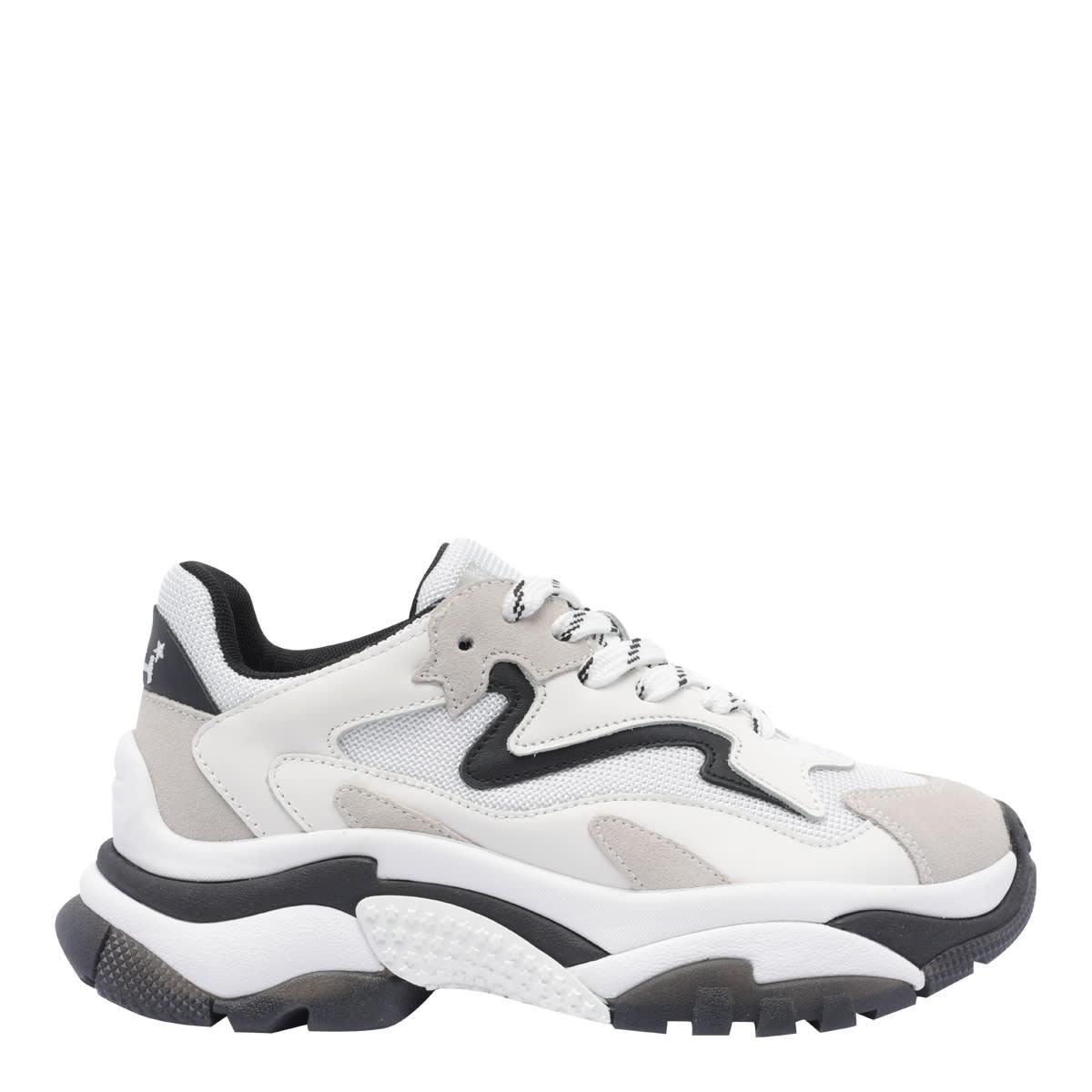 Ash Addict Sneakers