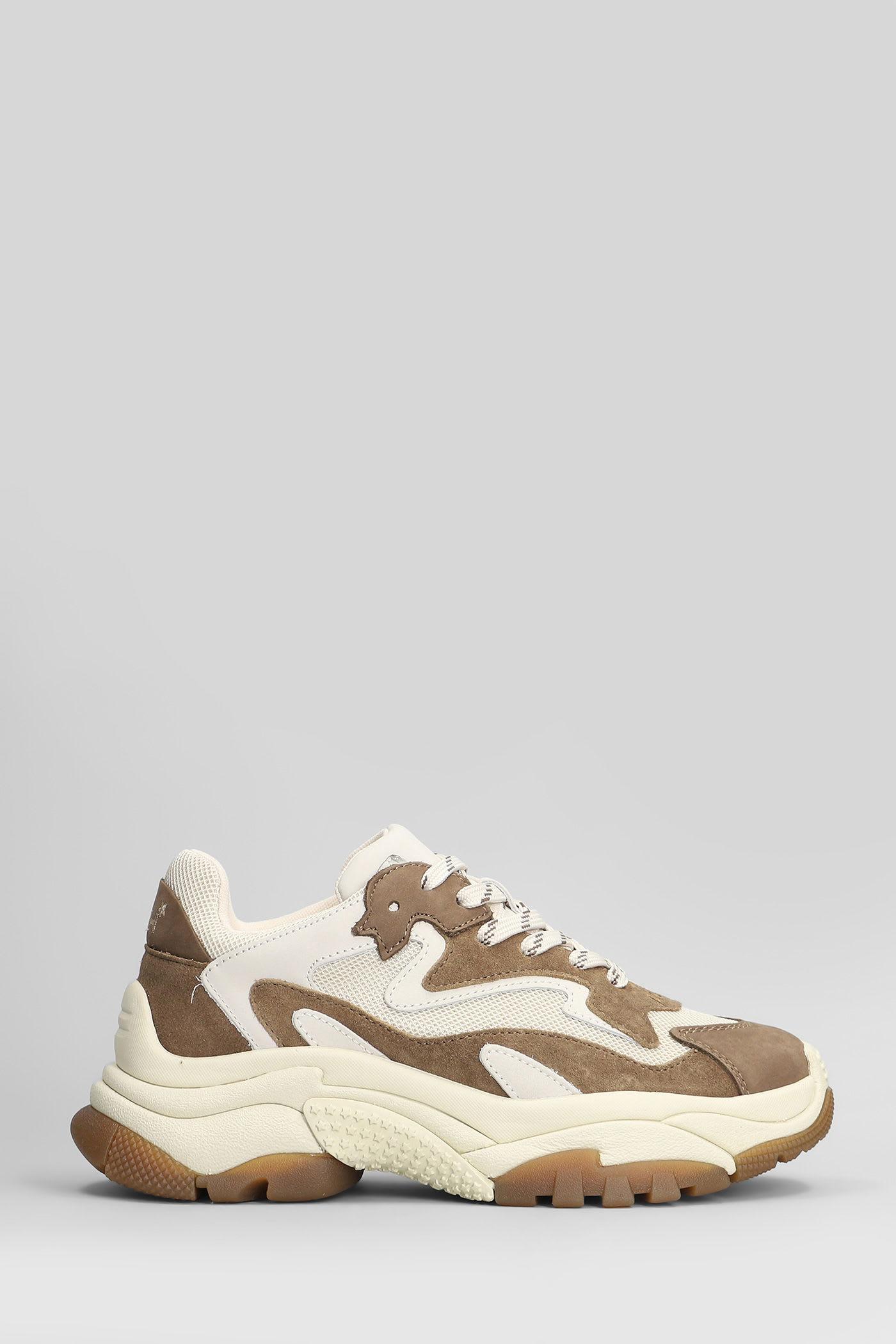 Ash Addict Sneakers in Taupe Suede and Fabric
