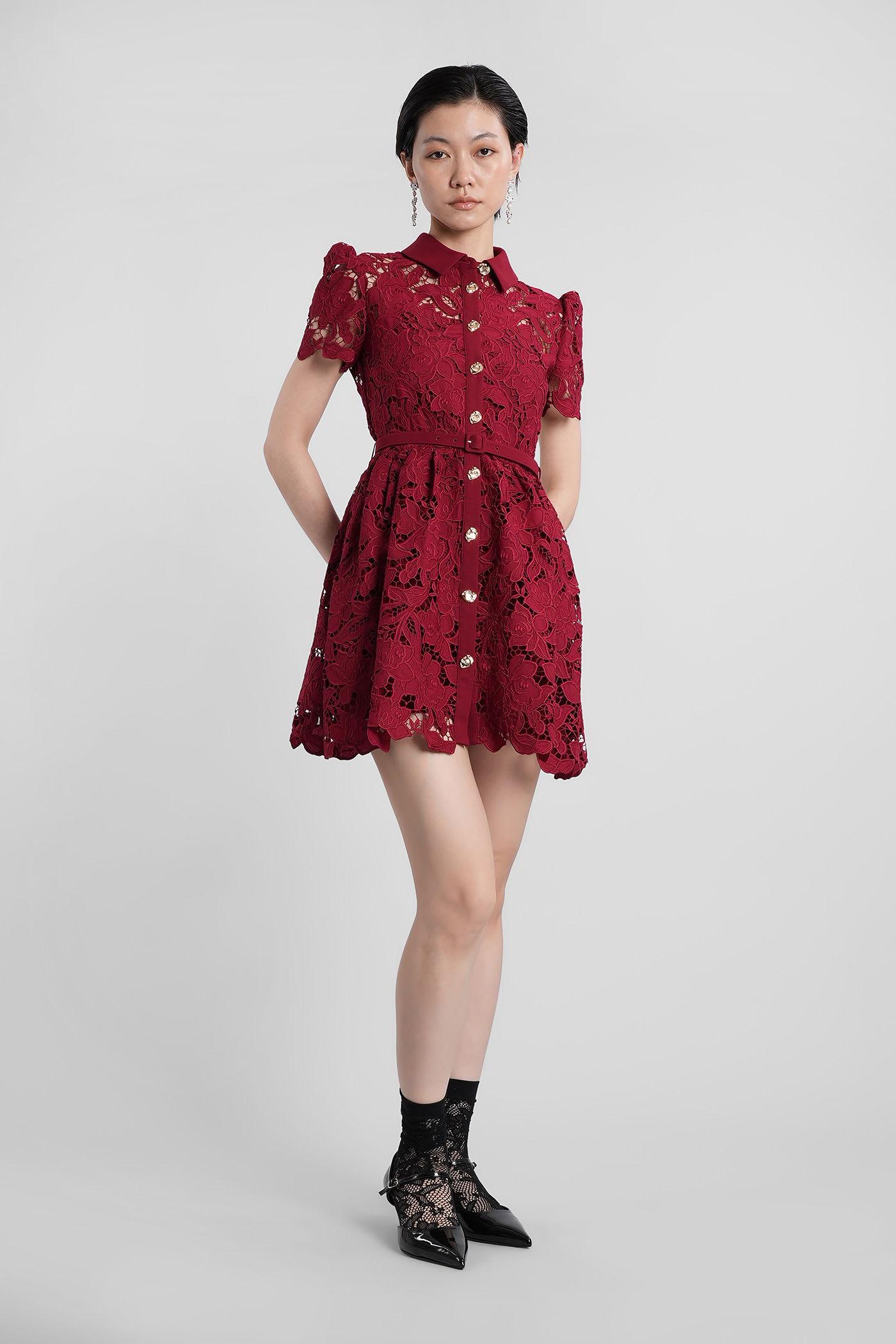 Self-Portrait in Bordeaux Polyester
